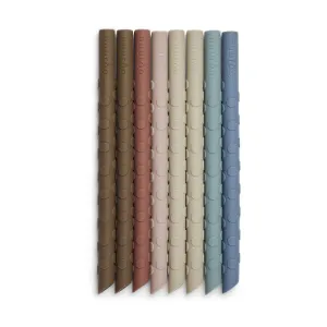Ada Silicone Straw 8 Pack - Color Mix