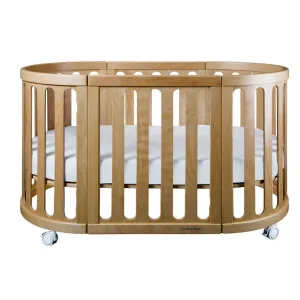 Cocoon Nest 4-in-1 Cot   Mattress