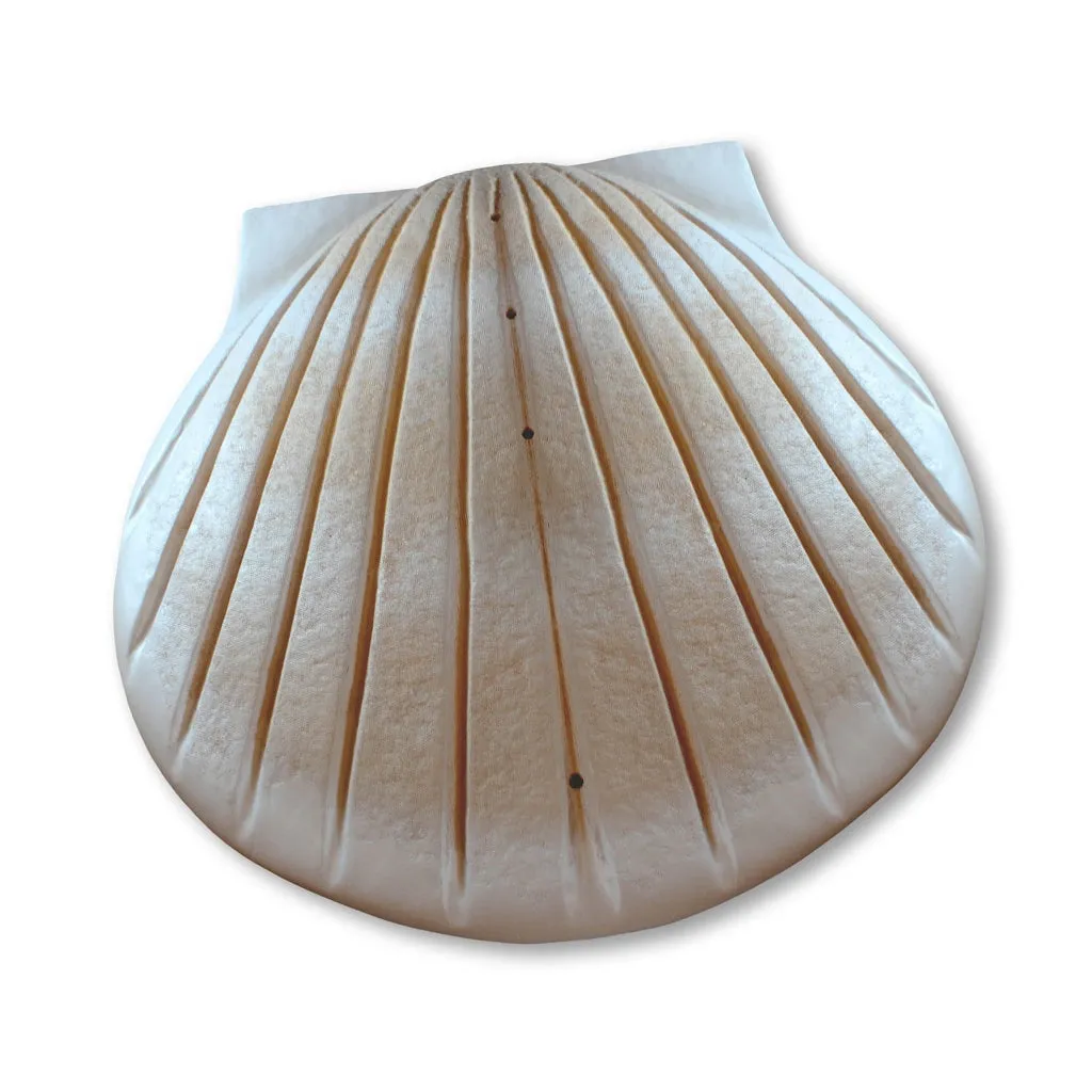 COMPANION The Shell Urn