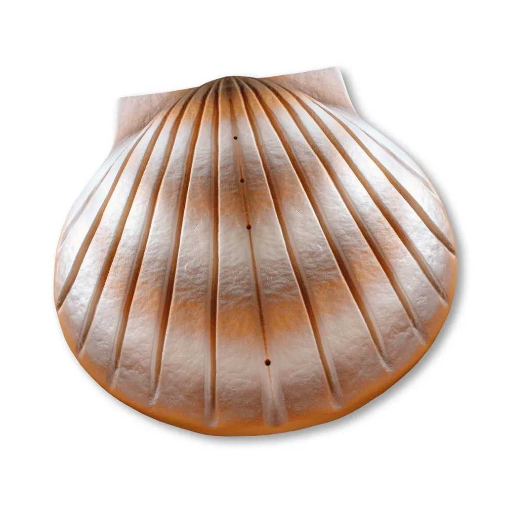 COMPANION The Shell Urn