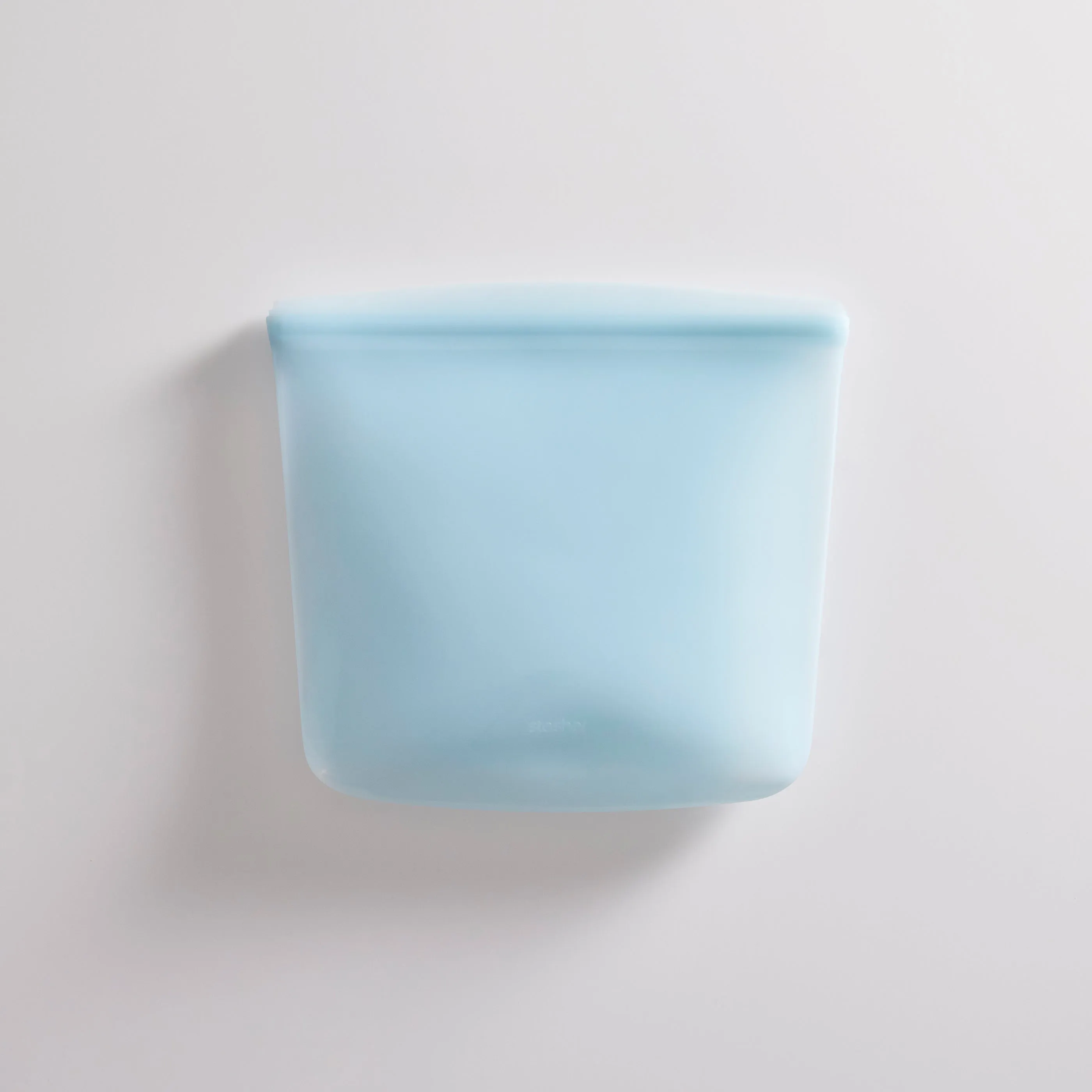 Gallon Bag