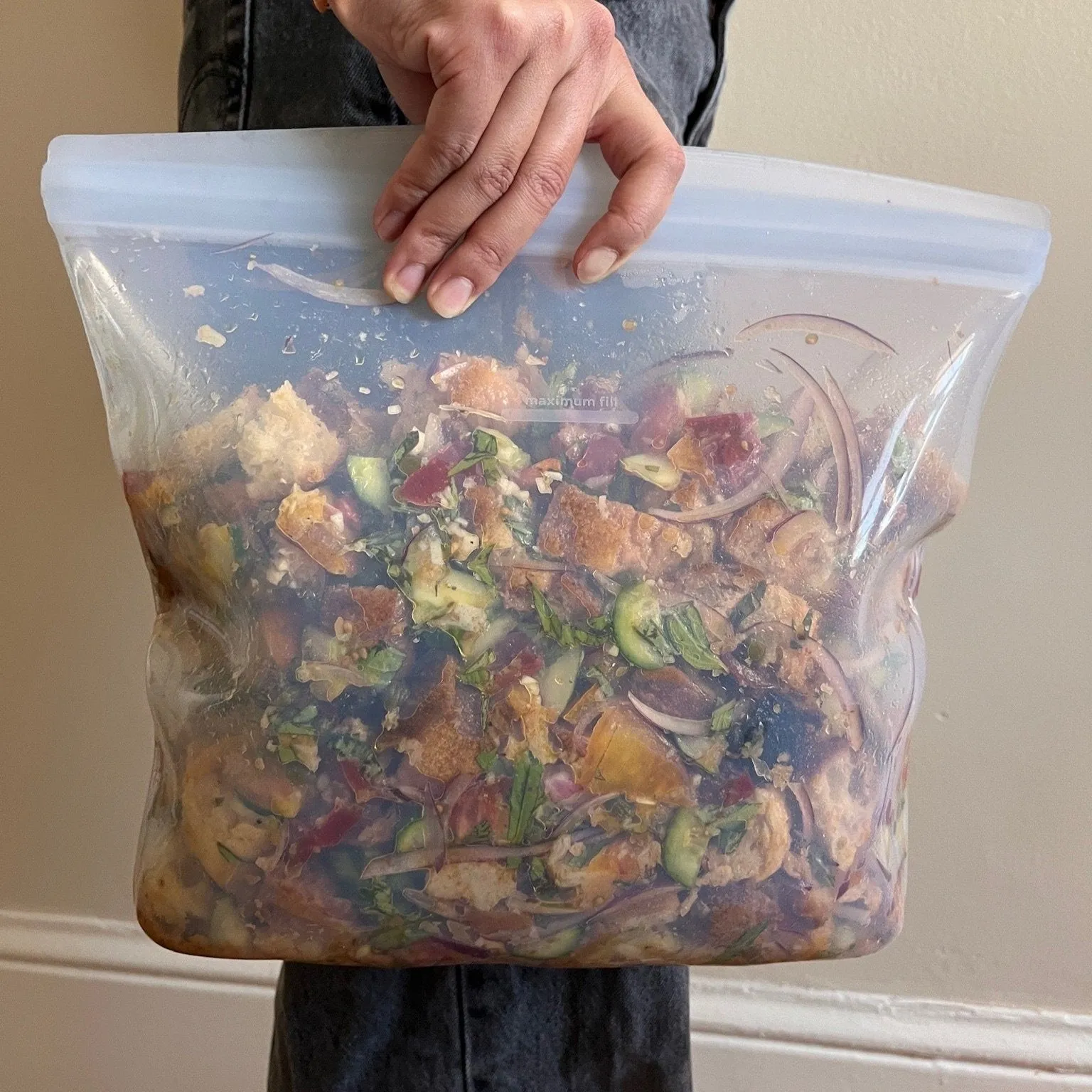 Gallon Bag