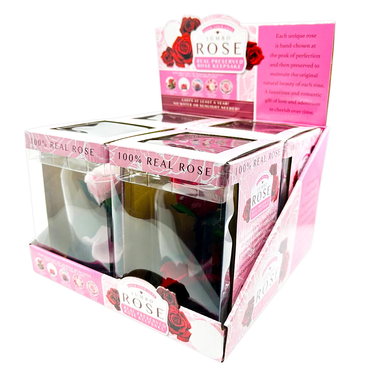Glass Dome Real Preserved Rose Keepsake - 4 Pieces Per Retail Ready Display 25008