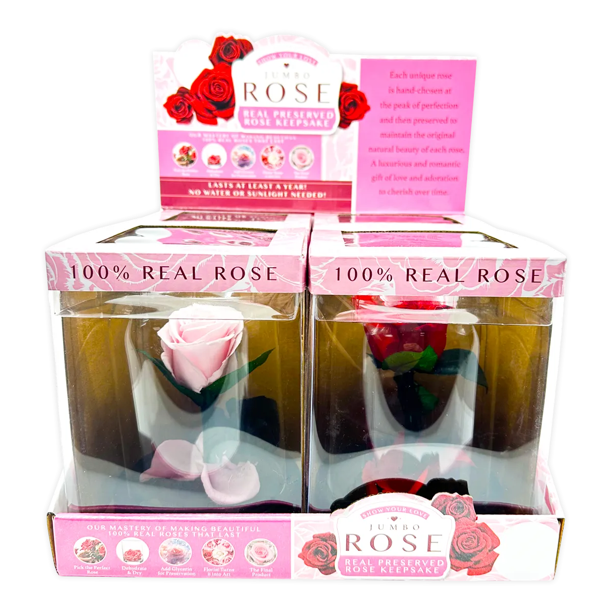 Glass Dome Real Preserved Rose Keepsake - 4 Pieces Per Retail Ready Display 25008