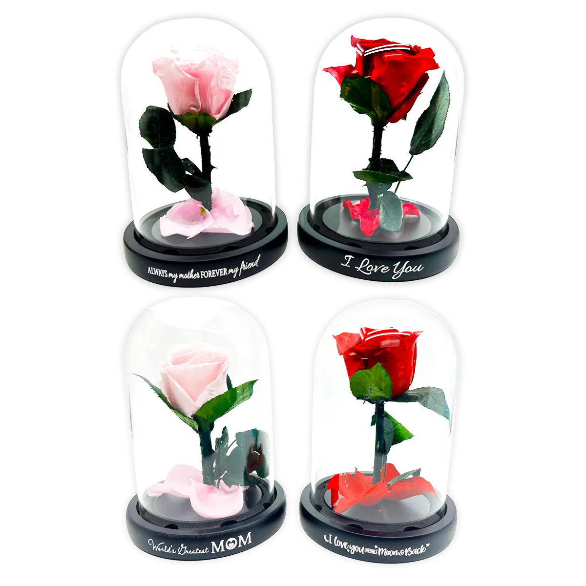 Glass Dome Real Preserved Rose Keepsake - 4 Pieces Per Retail Ready Display 25008