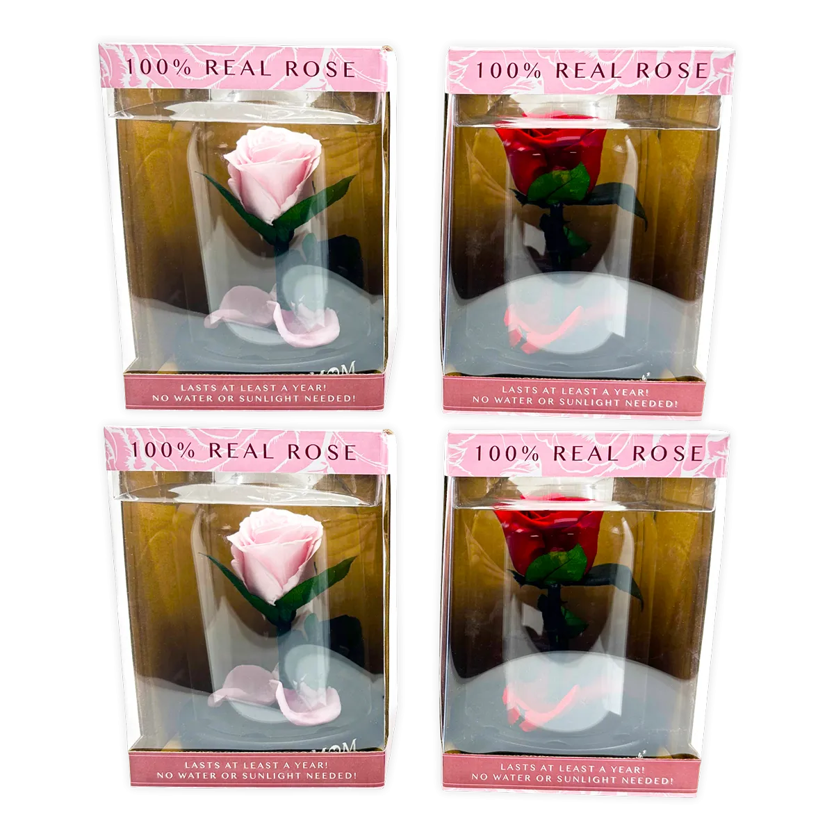 Glass Dome Real Preserved Rose Keepsake - 4 Pieces Per Retail Ready Display 25008