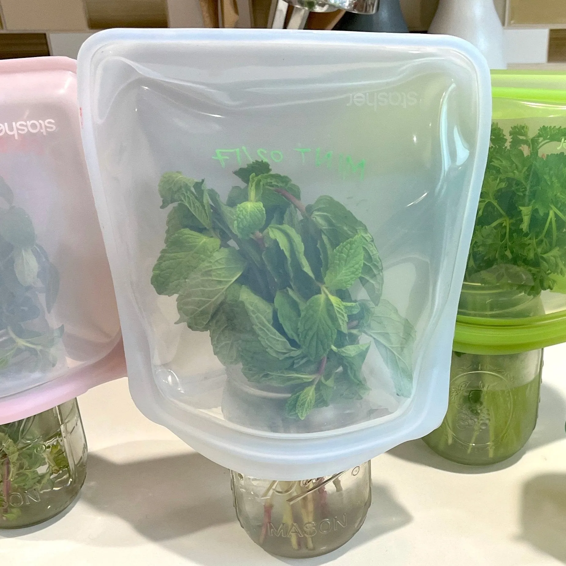 Half Gallon Bag