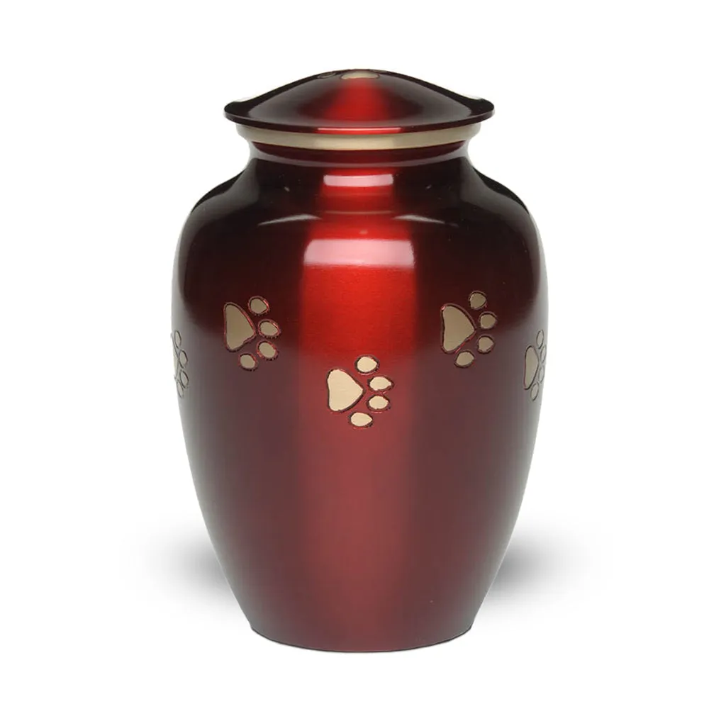 IMPERFECT SELECTION - LARGE Brass Pet Urn - "Forever Paw"