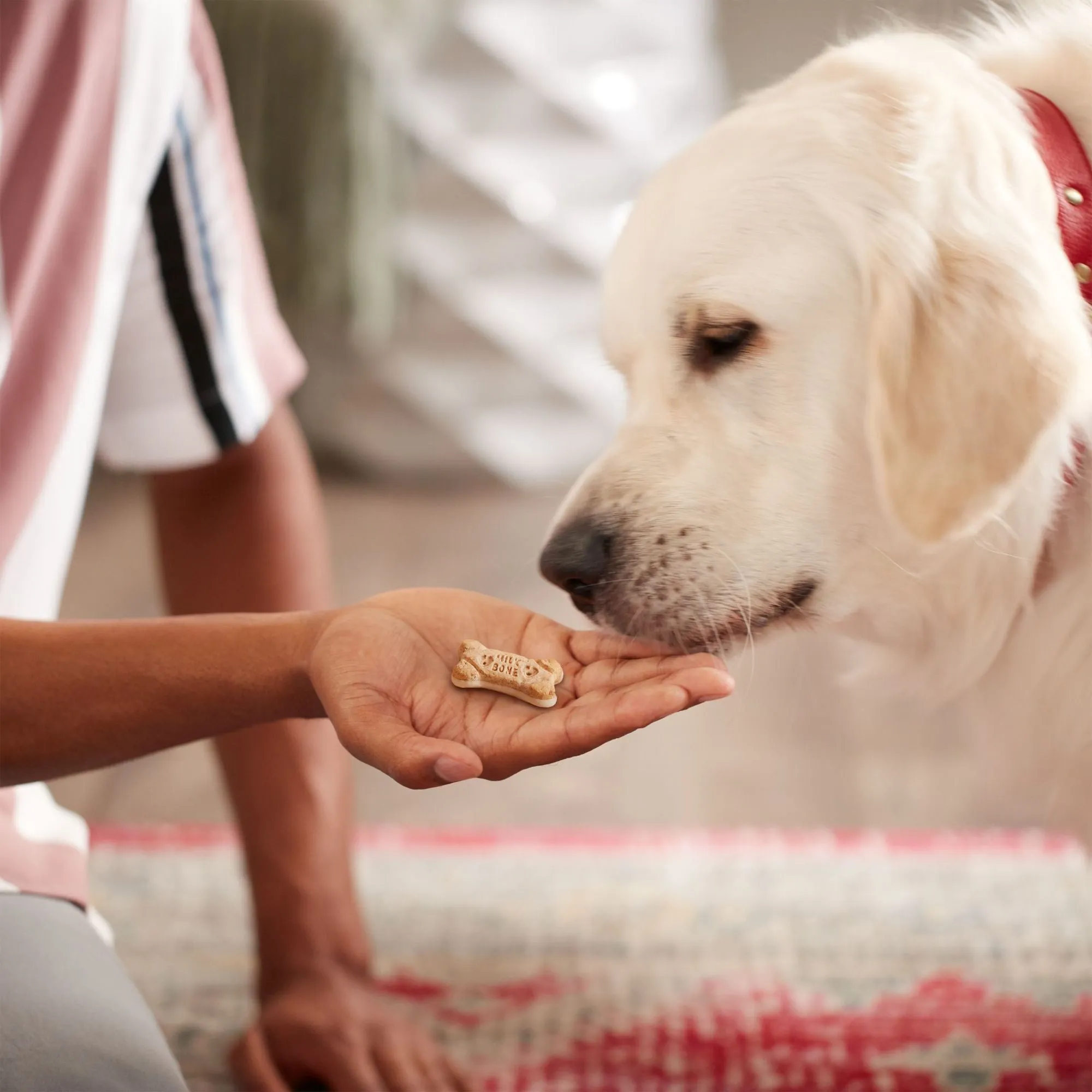 Milk-Bone Dipped Dog Biscuits Baked With Vanilla Yogurt, 12 oz
