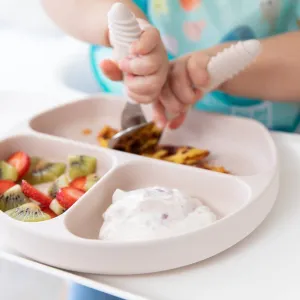 Silicone Grip Dish VARIOUS COLOURS