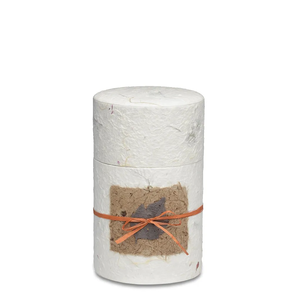 SMALL Handcrafted Biodegradable Paper Urn -1020- Natural