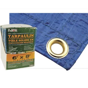 World Famous All Purpose Ripstop Tarp - 6x8