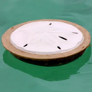 XXL Serenity Urns - Sand Dollar